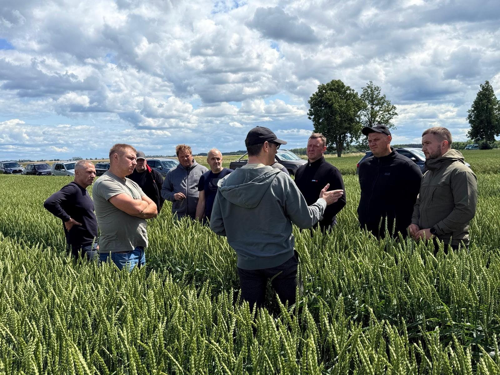 Lauko diena: ūkininkai ir agronomai kviečių lauke